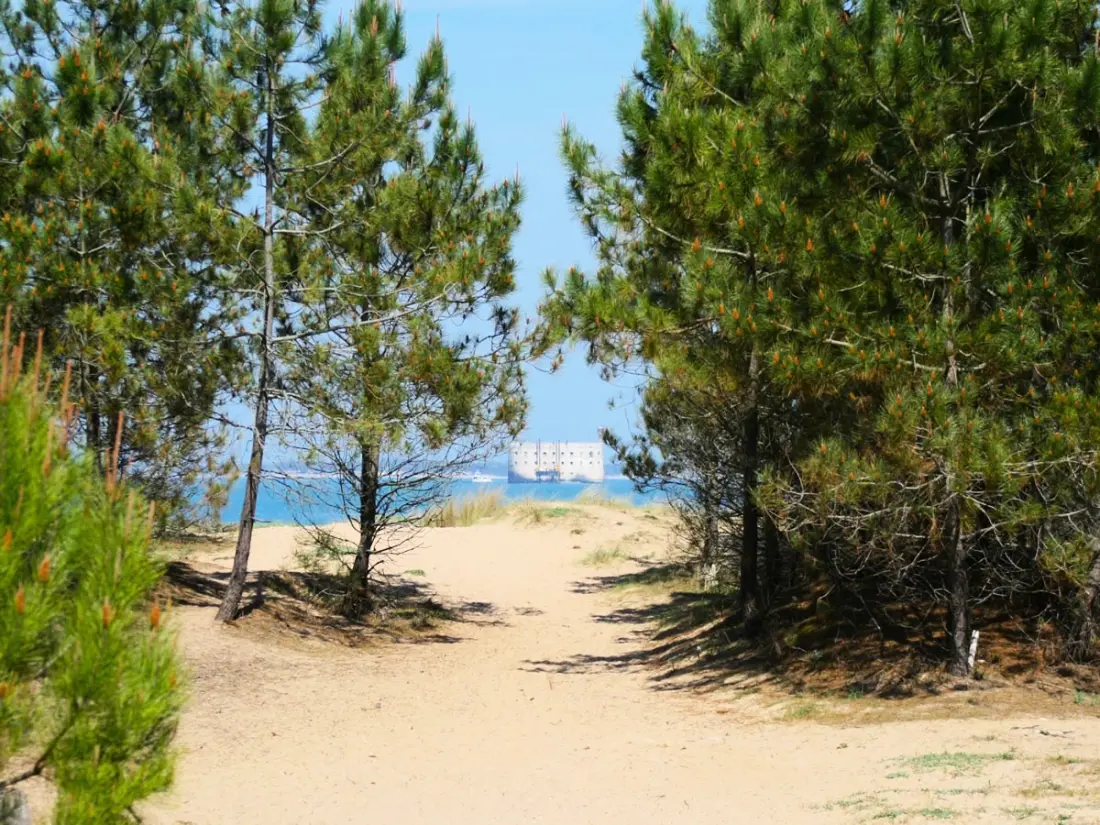 Camping de flores Monplaisir 4 Estrellas★★★★
