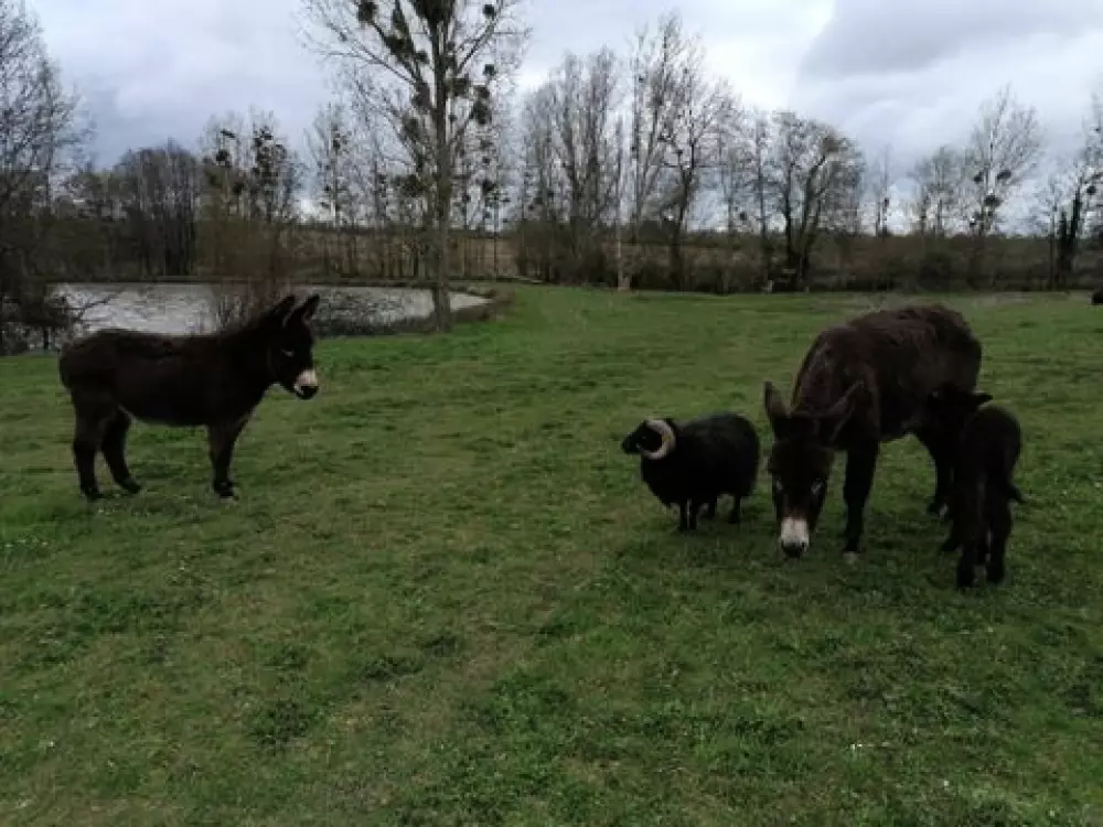 Camping Les Rulières 3 Csillagok★★★