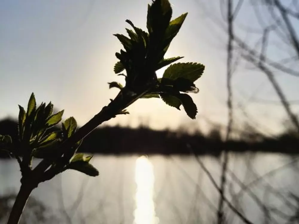 Camping Les Rulières 3 Csillagok★★★