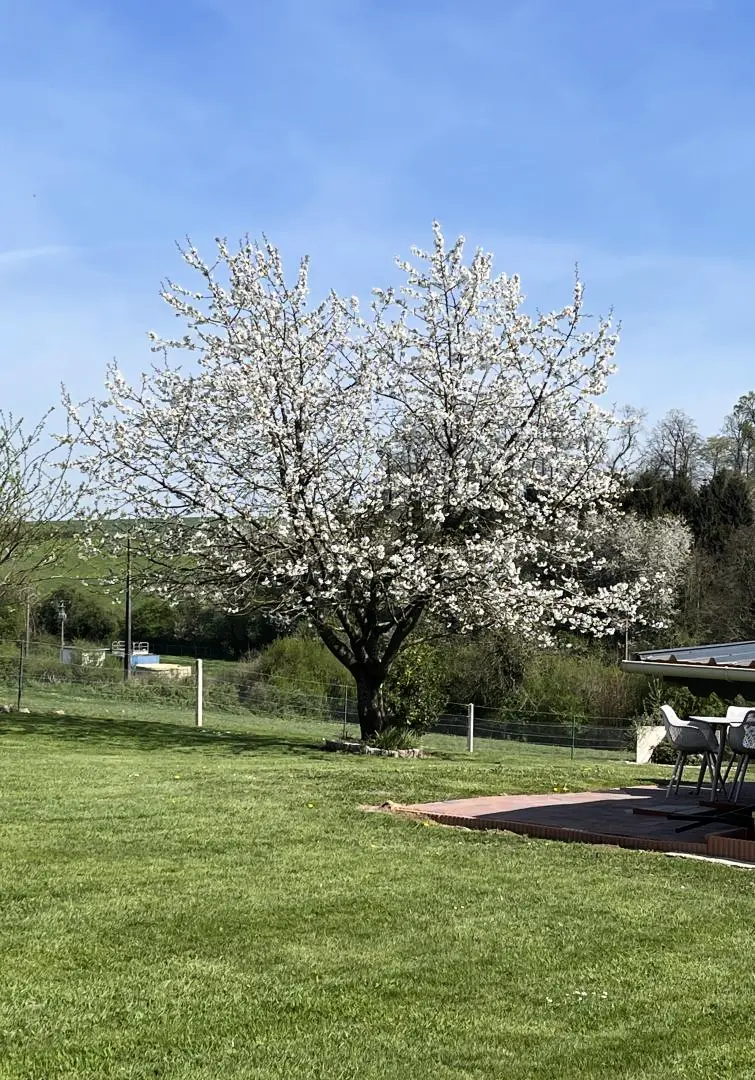Gîte de France Gîtes de france® - l'humesnil 2 fül