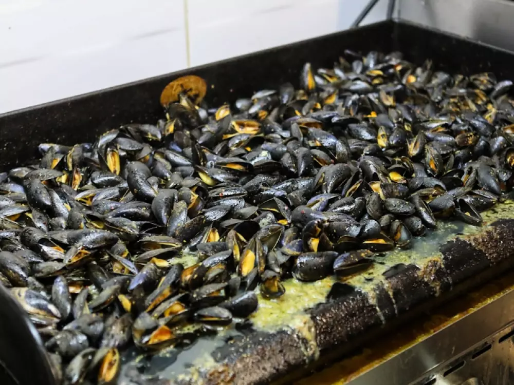 Blomster Camping Le Tiradou