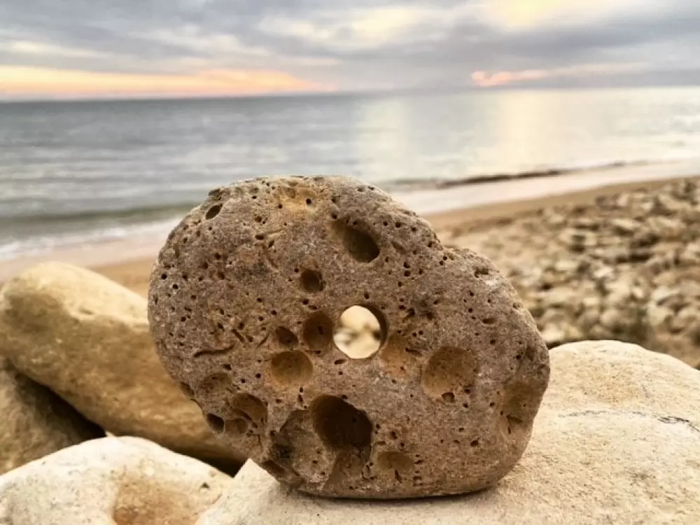 Camping L'R Pur 1 étoiles★