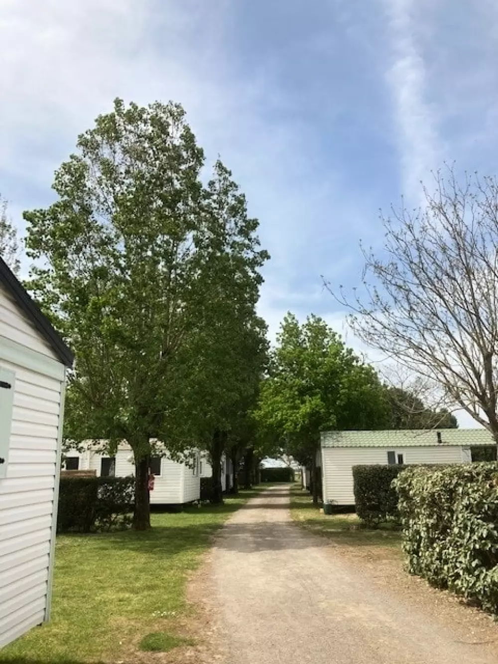 Camping L'R Pur 1 étoiles★