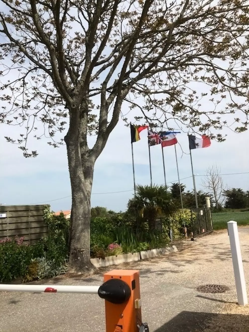 Camping L'R Pur 1 étoiles★