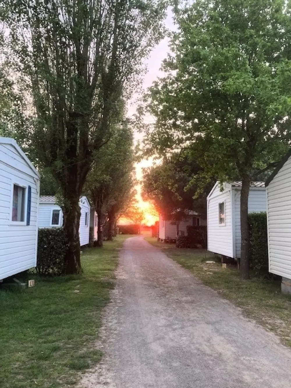 Camping L'R Pur 1 étoiles★