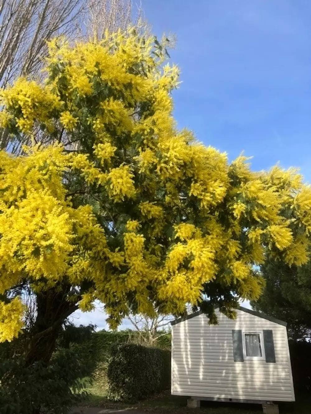 Camping L'R Pur 1 étoiles★