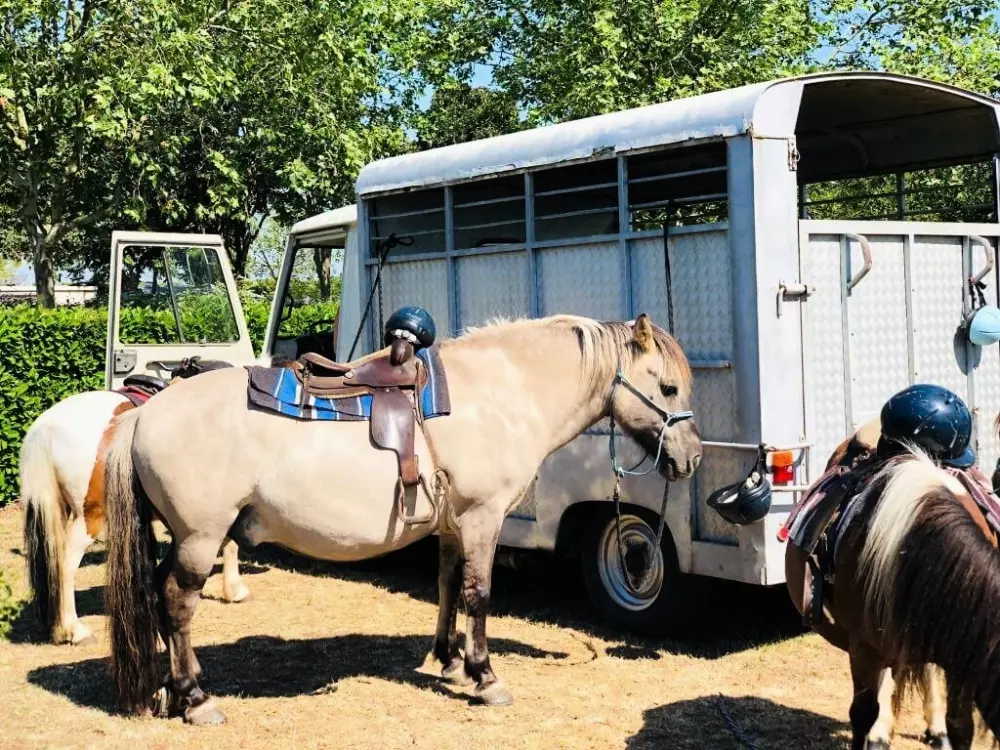 Camping La Bolée d'Air 4 Stars★★★★