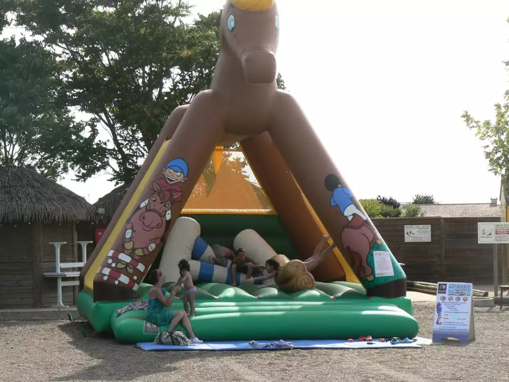 Camping la Mouette Cendrée 3 étoiles★★★