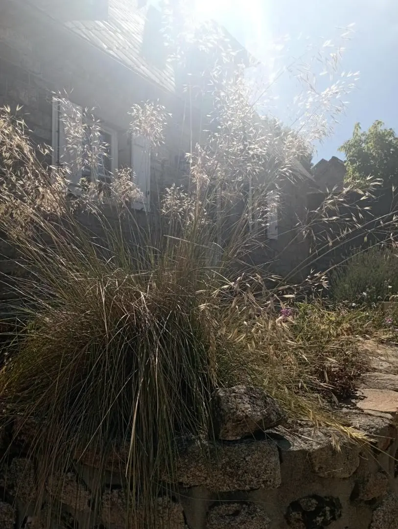 Gîte de France Gîte des veyssières 3 oren