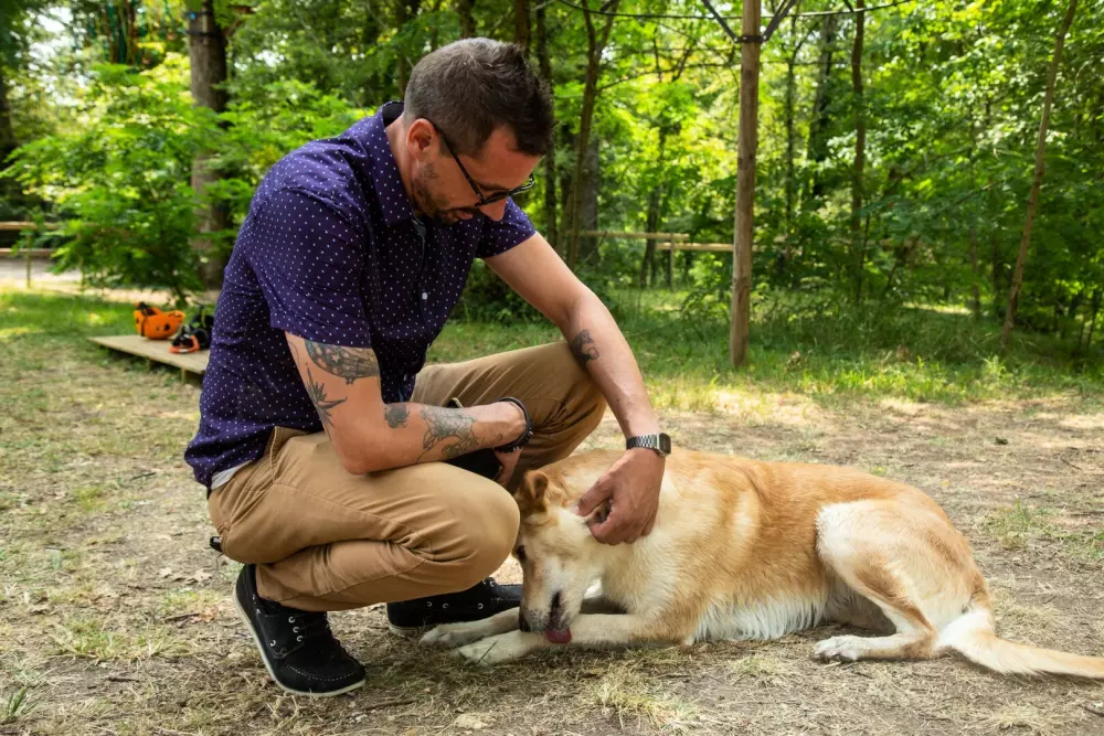 Parc de Fierbois 5 Sterren★★★★★