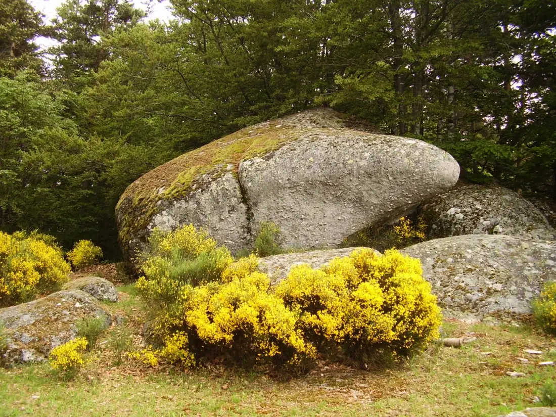 Gîte de France Gîte willkommen im Sarg 3 Ähren