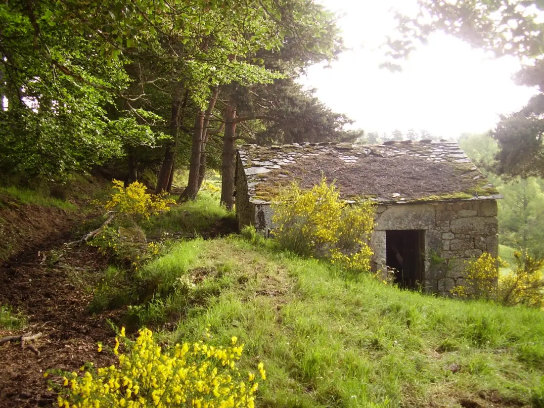 Gîte de France Gîte willkommen im Sarg 3 Ähren