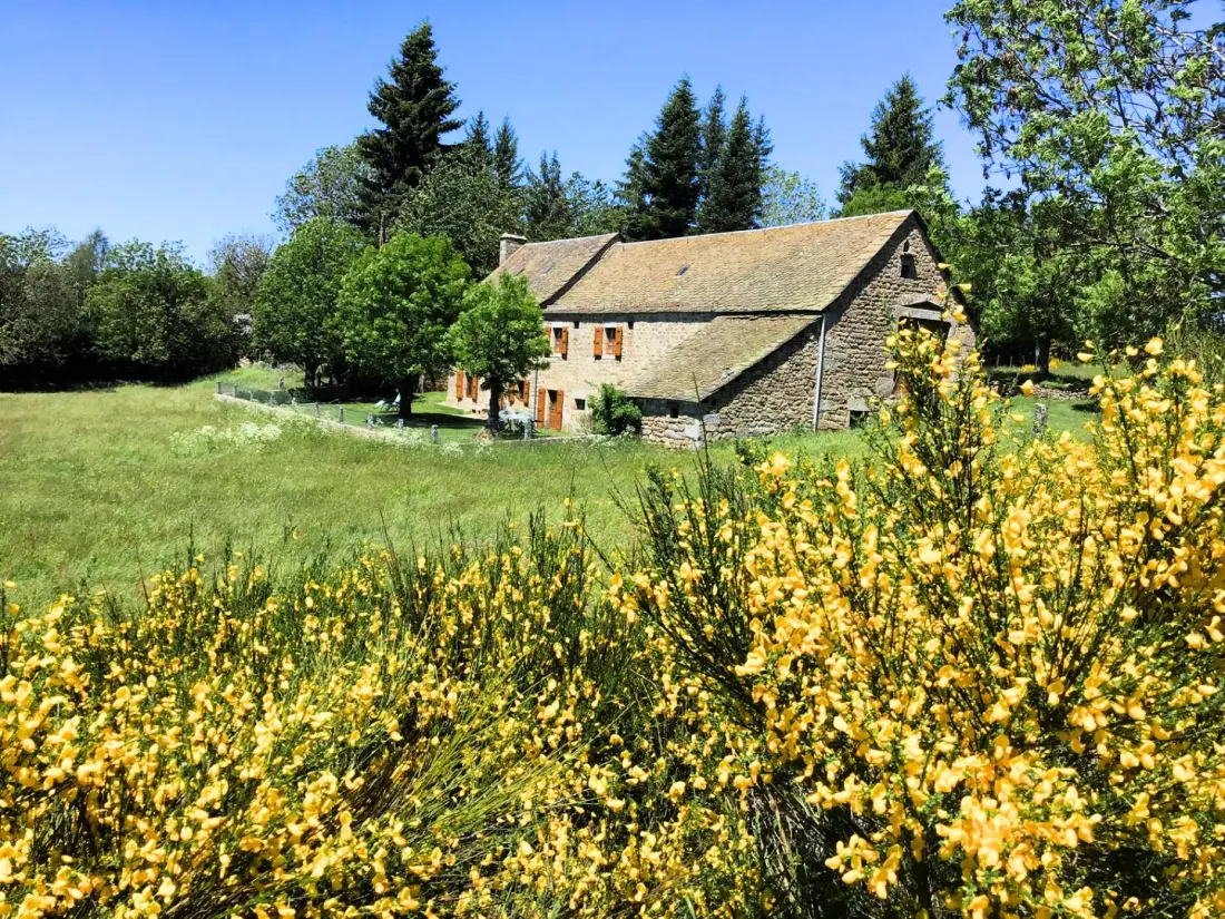 Gîte de France Die Blüten des Aubrac 4/6 pers 3 Ohren