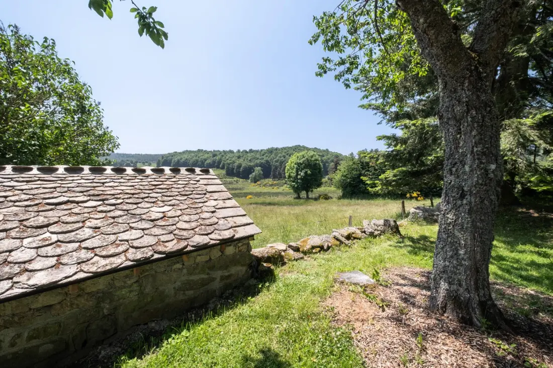 Gîte de France Die Blüten der aubrac 6/8 pers 3 Ohren