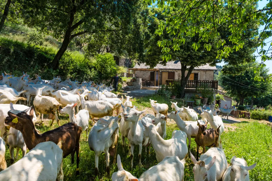 Gîte de France Gîtes de France 4/6 Personen in campéménard 2 Ähren