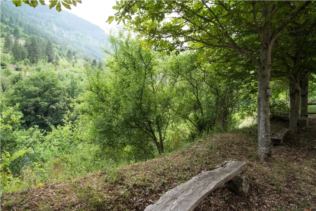 Cottage Rental chanteperdrix 2 ember