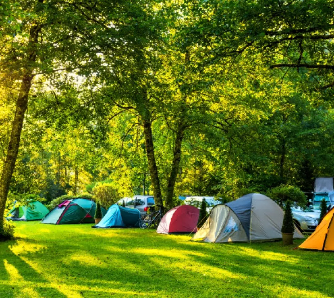 Camping Les Bruyères 3 Estrellas★★★