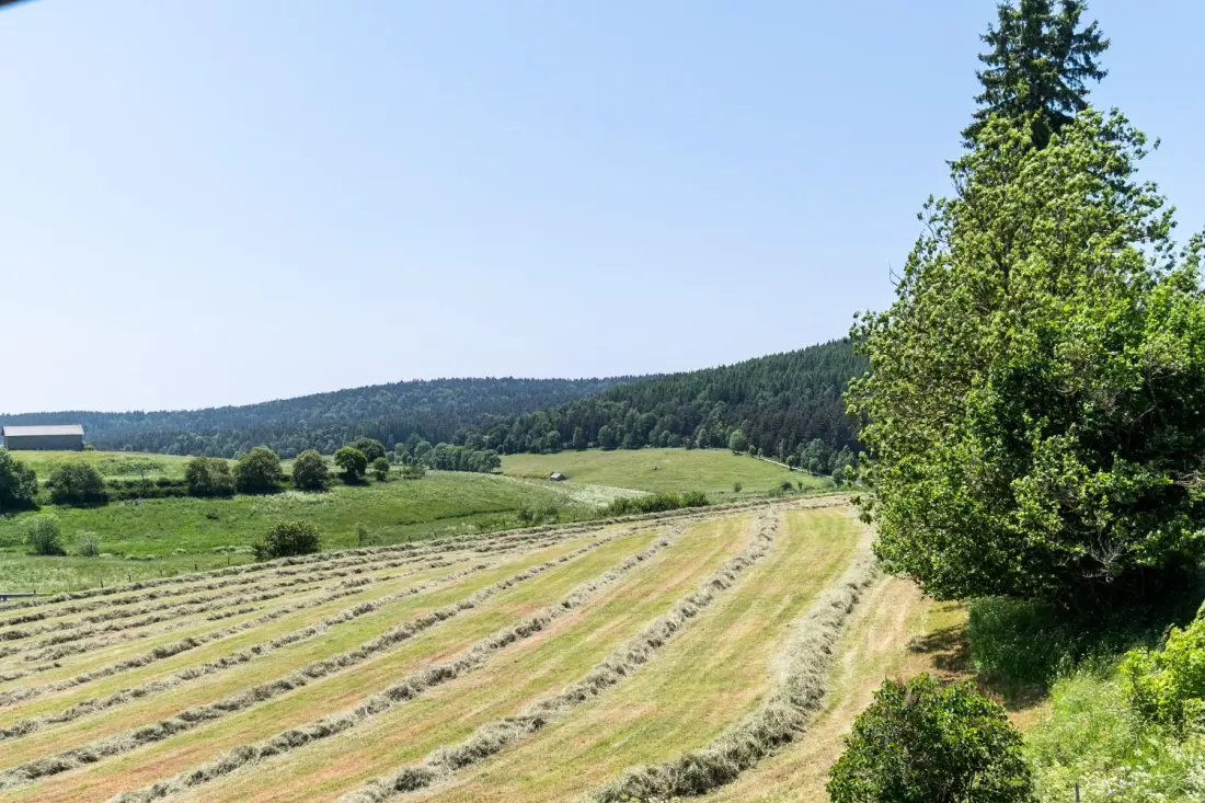 Gîte de France Das Pierrou Haus 11/12 Personen 3 Ohren