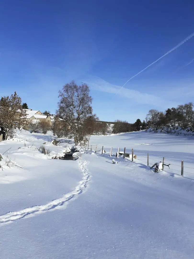 Gîte de France Das Pierrou Haus 11/12 Personen 3 Ohren