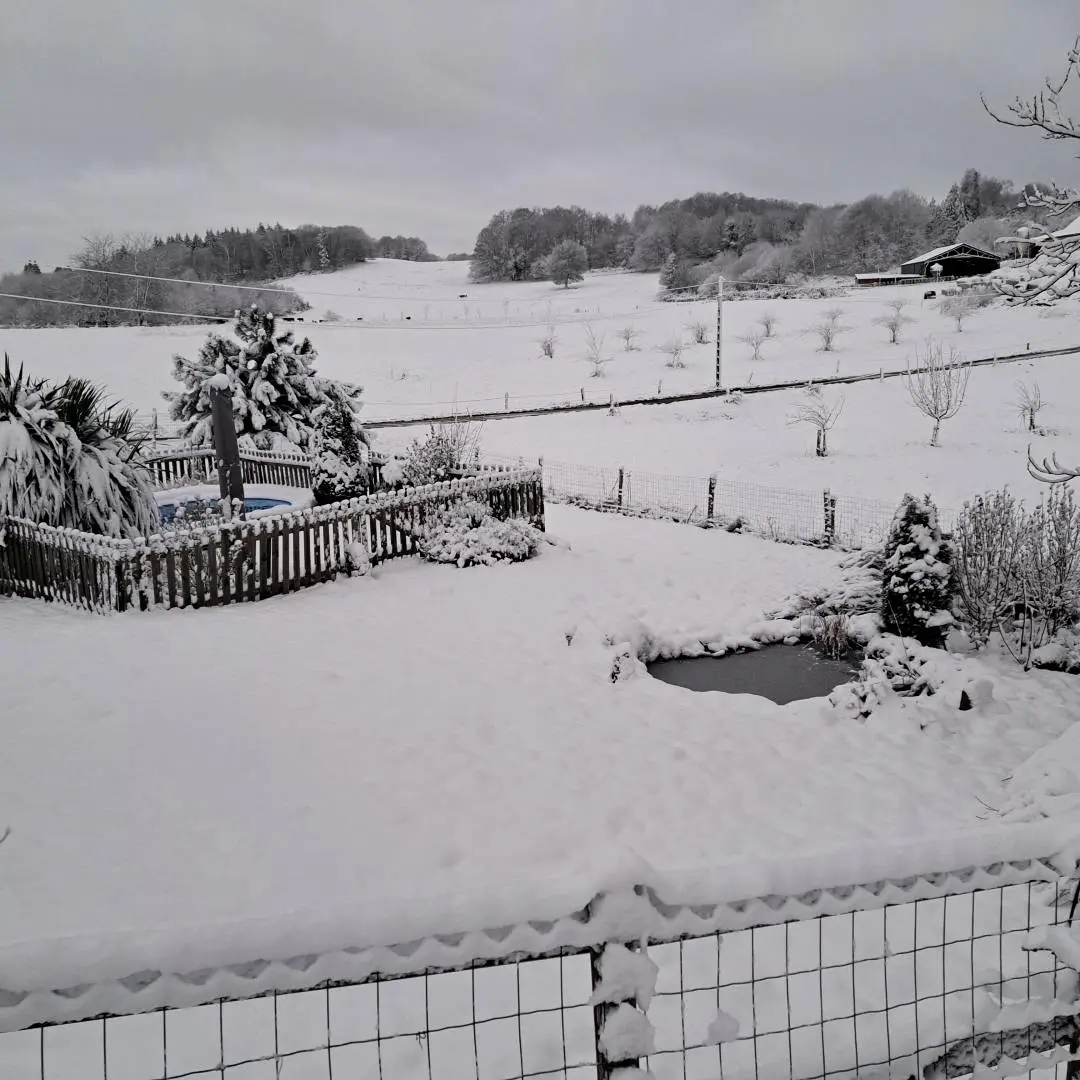 Gîte de France Les vijgenbomen 3 oren