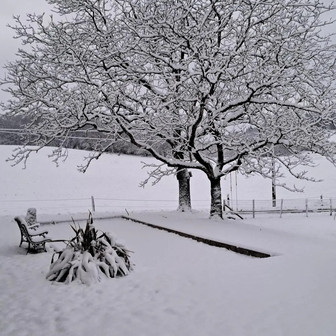 Gîte de France Les vijgenbomen 3 oren