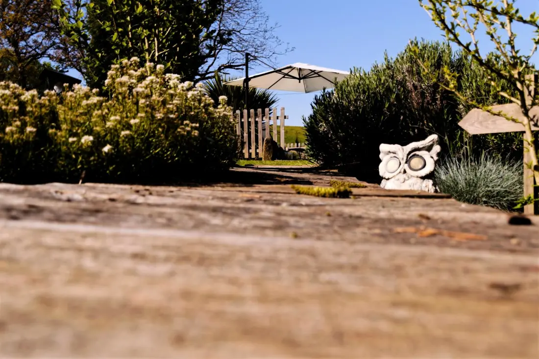 Gîte de France Les vijgenbomen 3 oren