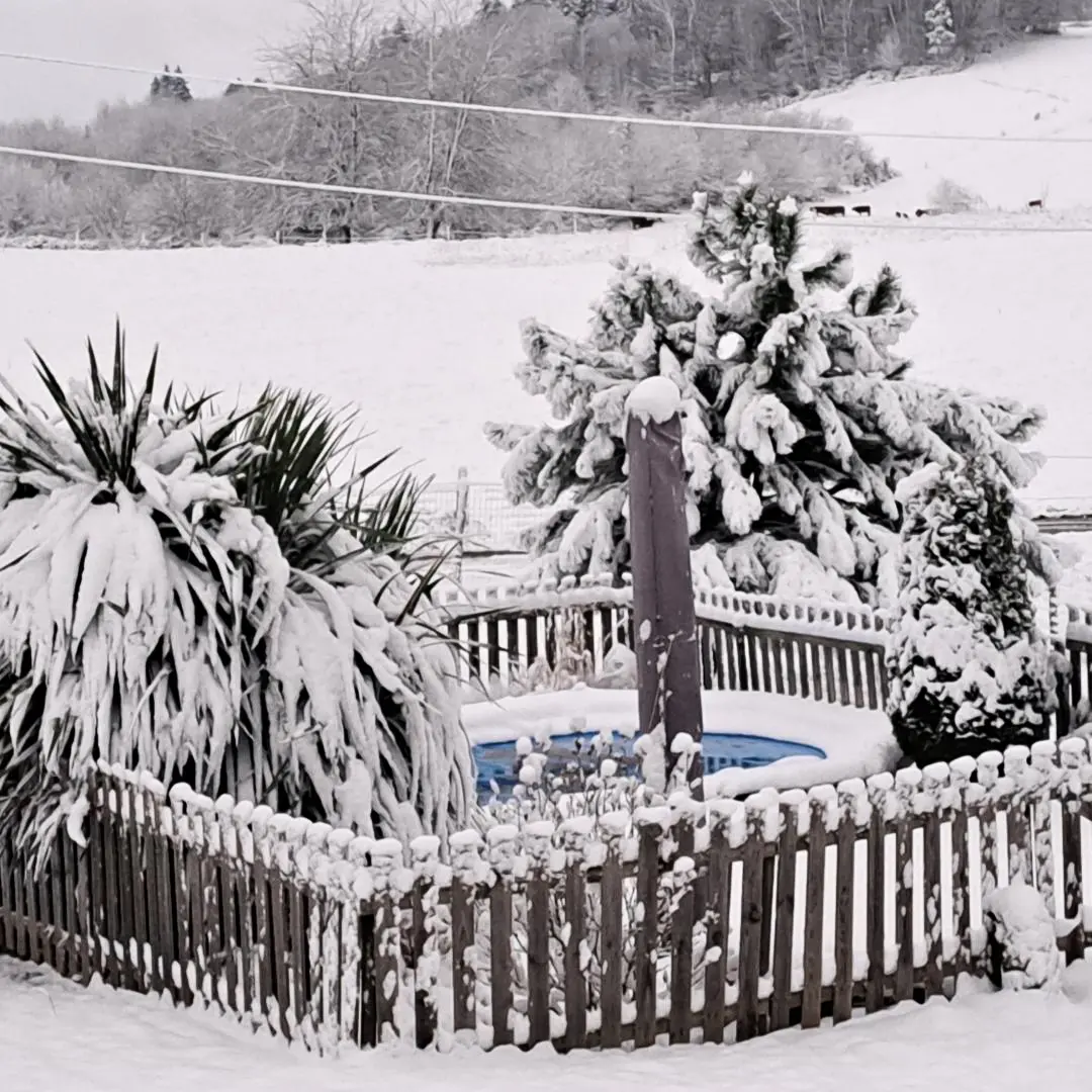 Gîte de France Les vijgenbomen 3 oren
