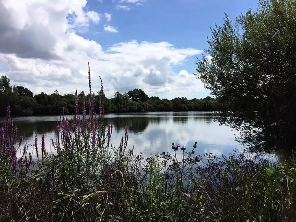 Camping Au Pré de l'Etang 3 Stars★★★