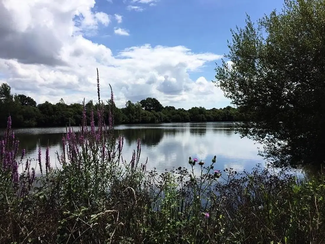 Camping Au Pré de l'Etang 3 Estrellas★★★