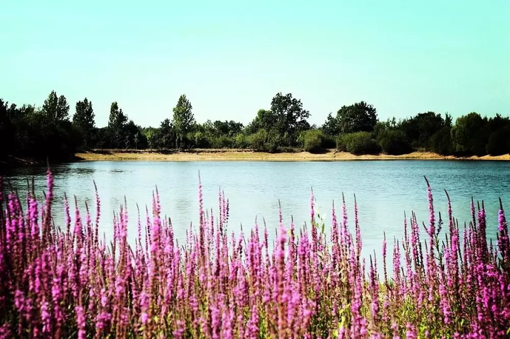 Camping Au Pré de l'Etang 3 Stars★★★