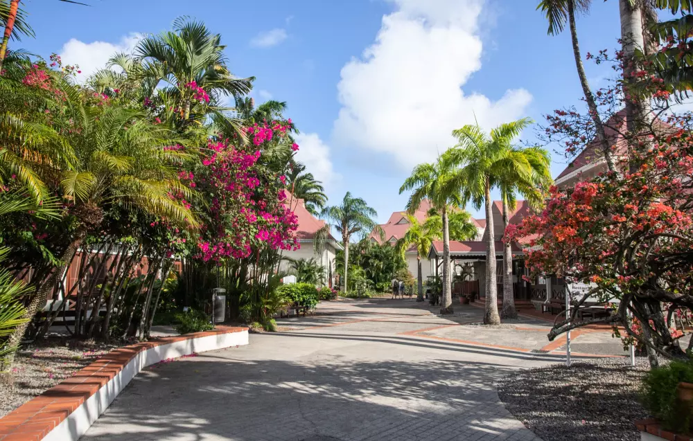 Dorp Pierre & Vacances Sainte-Luce 3 Sterren★★★