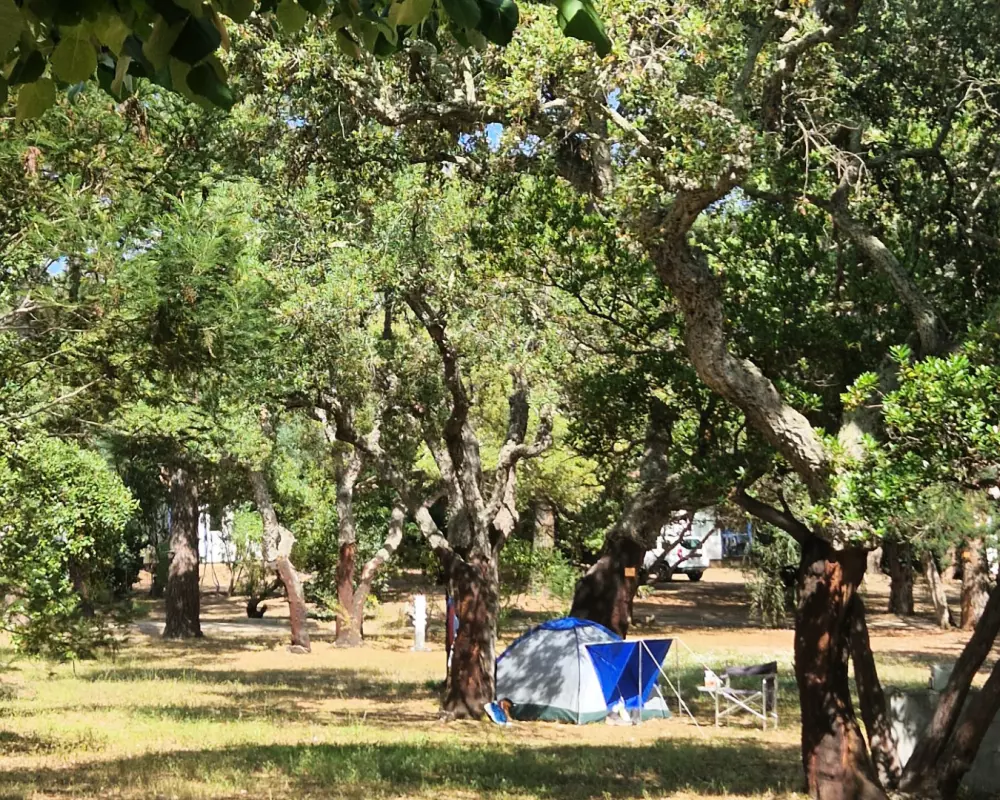 U Pinarellu Útvonalterv