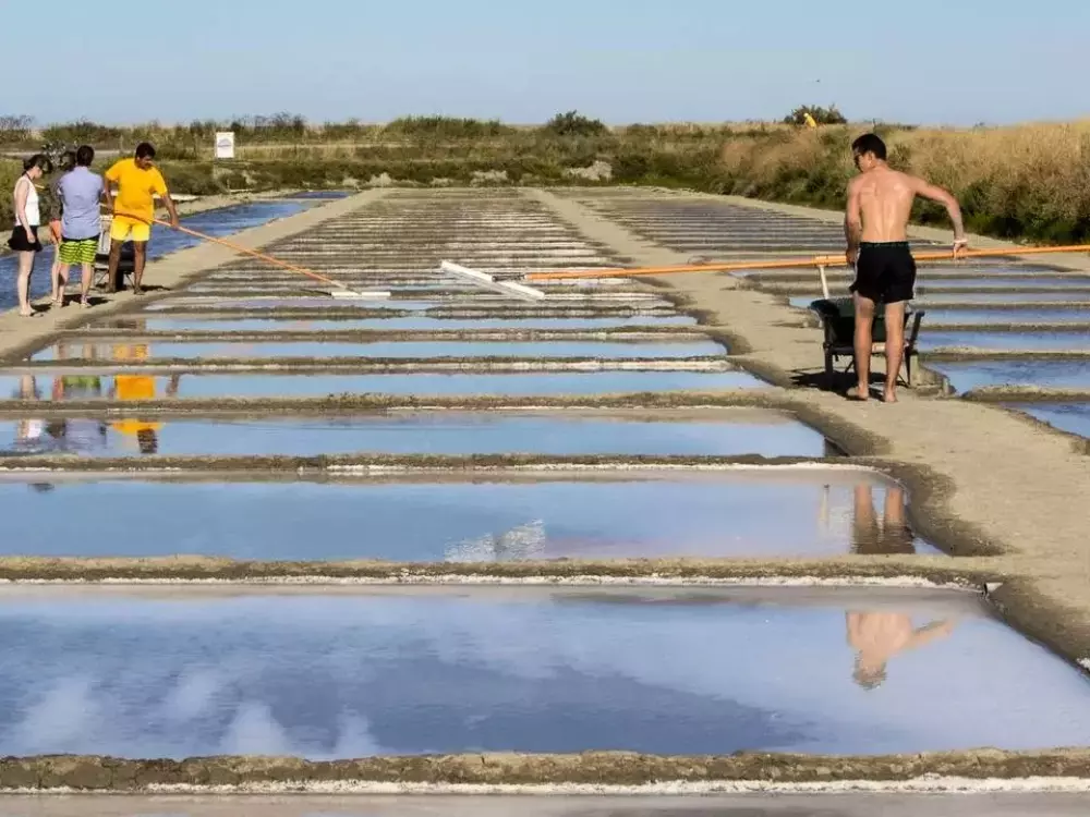 Campingplads Les Grenettes Tætning