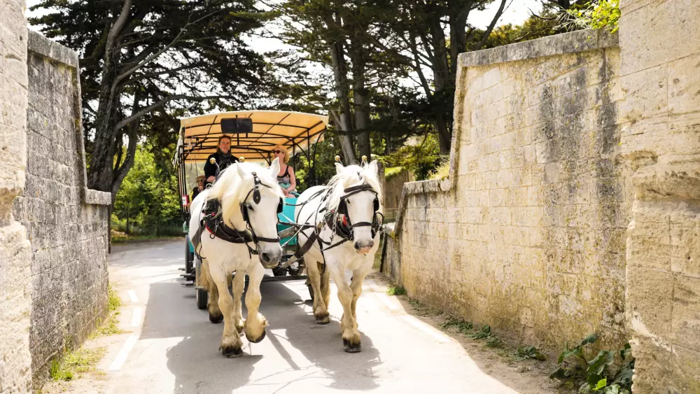 VVF Ile de Ré Sainte-Marie-de-Ré 2 Sterne★★