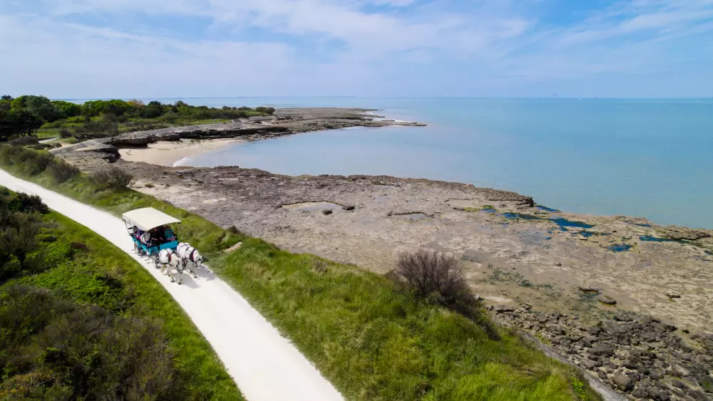 VVF Ile de Ré Sainte-Marie-de-Ré 2 Sterne★★