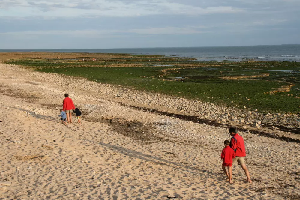 VVF Ile de Ré Sainte-Marie-de-Ré 2 Sterne★★