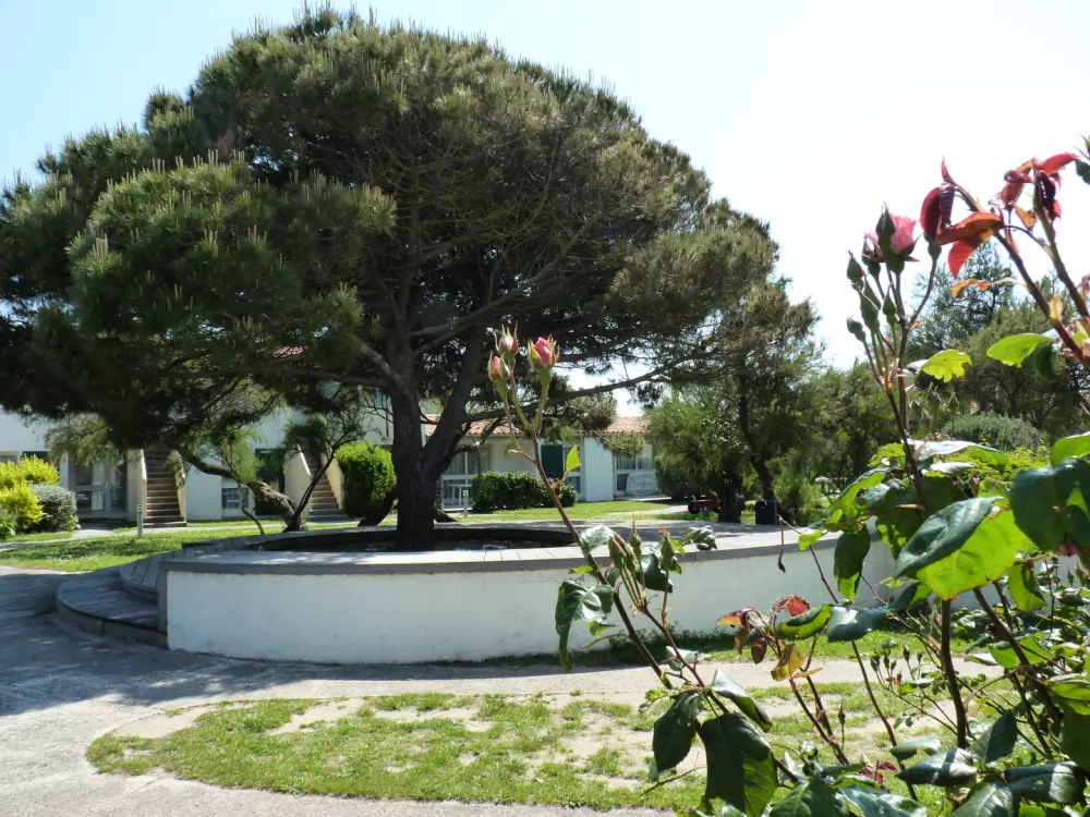 VVF Ile de Ré Sainte-Marie-de-Ré 2 Sterne★★