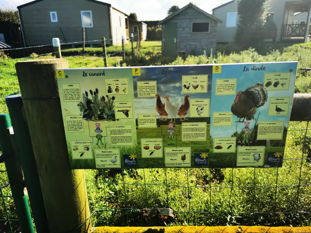 Camping Paradis Utah Beach4 Sterren★★★★