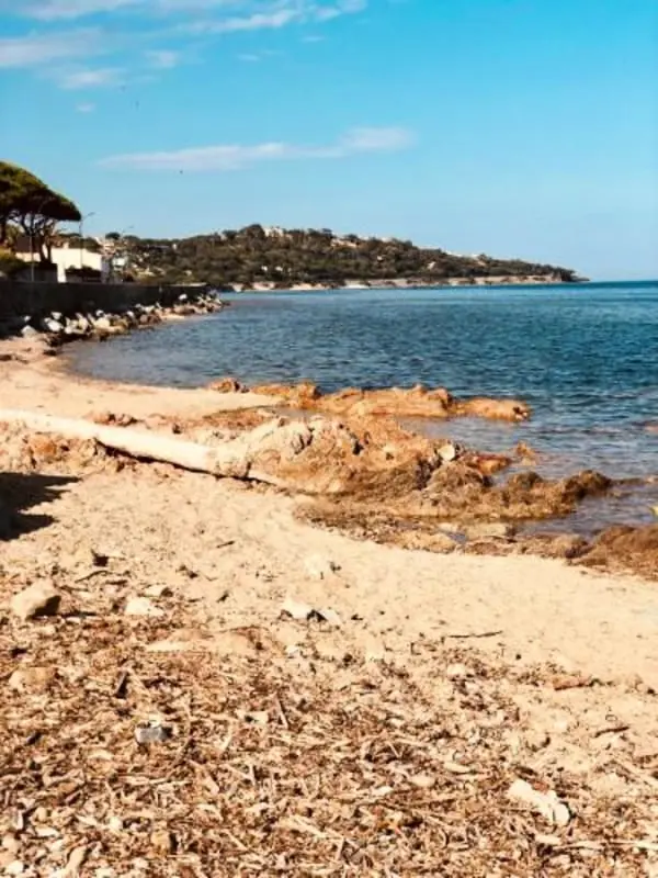 Sea View • Hozzáférés a strandhoz • úszómedence