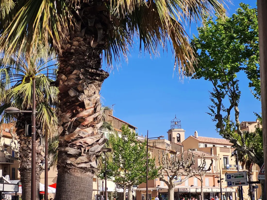 Residence Paselles Farigoule