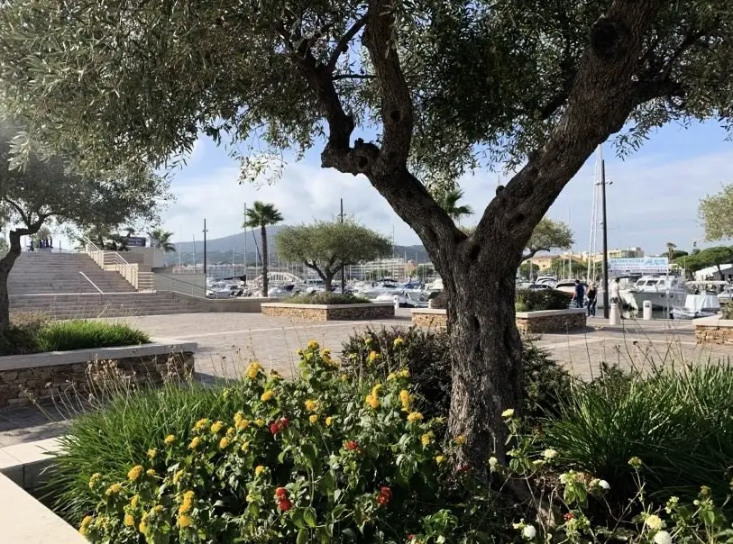 Residence Paselles Farigoule