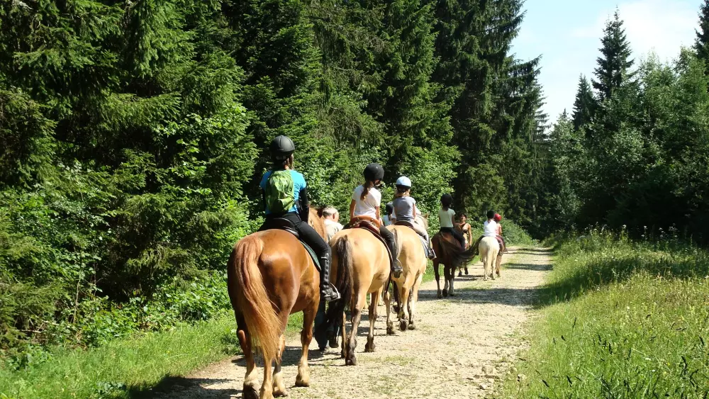 VVF I nærheden af Saissac