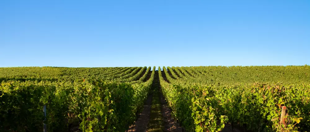 Camping maeva Escapades Le Casque Roi 3 Stjerner★★★