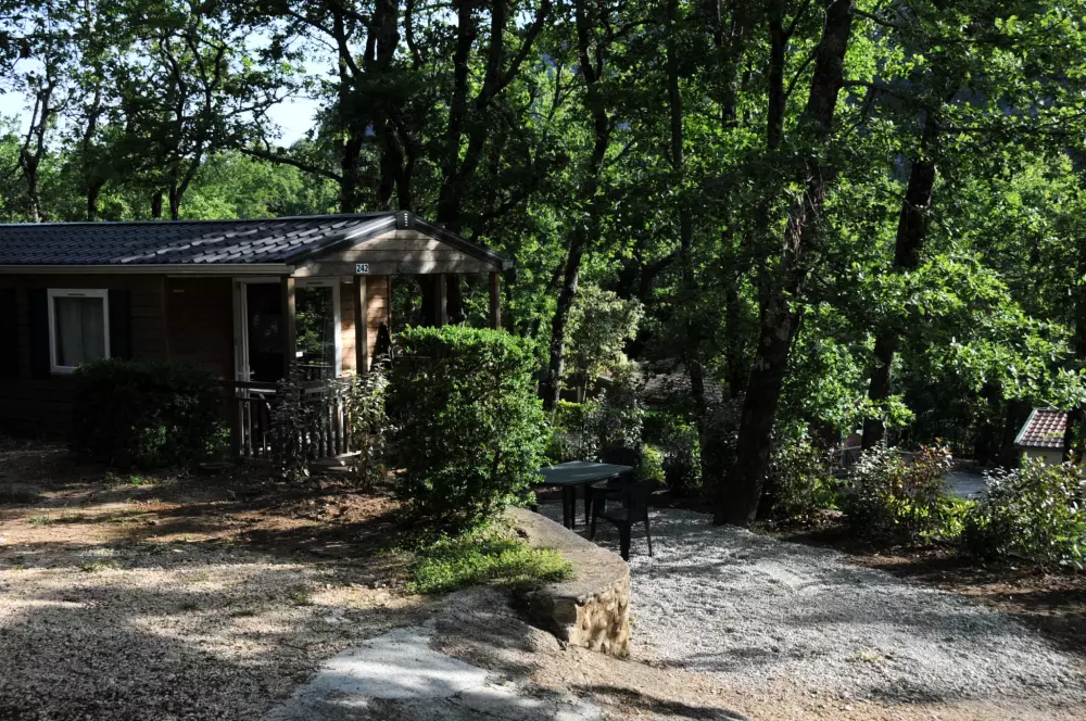 BLACHAS Domena 3 Gwiazdy★★★ 3 Gwiazdy★★★ 3 Gwiazdy★★★