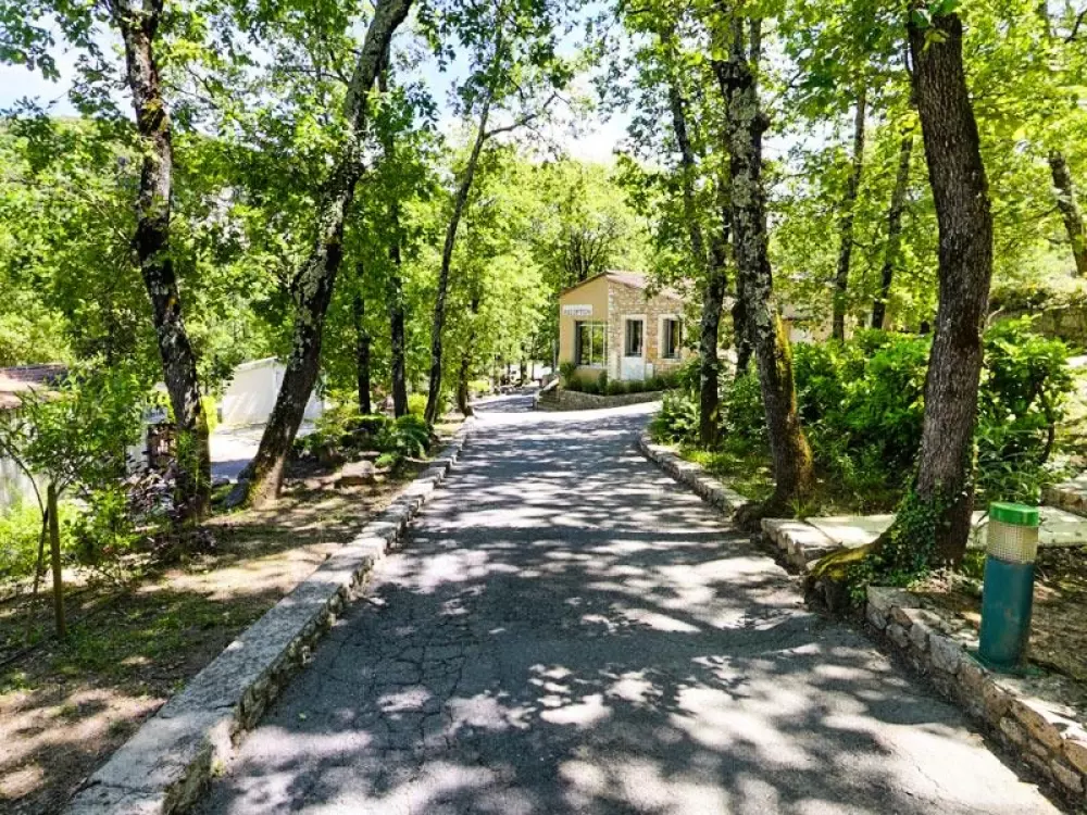 BLACHAS Domena 3 Gwiazdy★★★ 3 Gwiazdy★★★ 3 Gwiazdy★★★