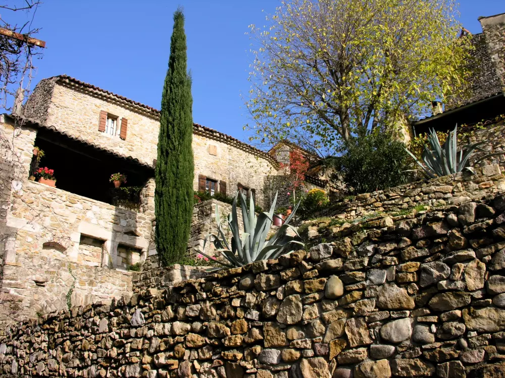 BLACHAS Domena 3 Gwiazdy★★★ 3 Gwiazdy★★★ 3 Gwiazdy★★★