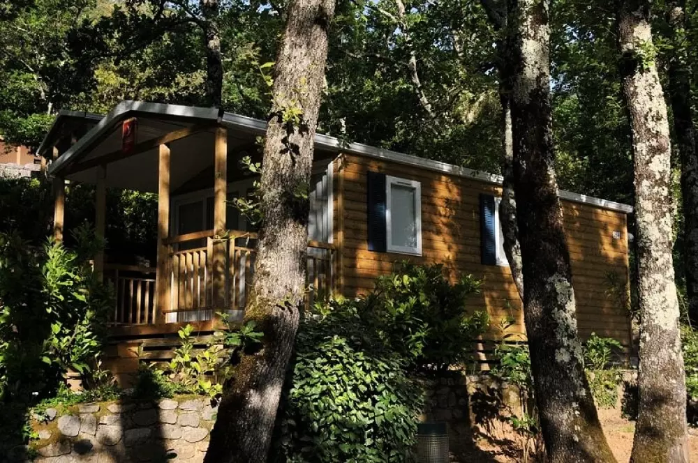 BLACHAS Domena 3 Gwiazdy★★★ 3 Gwiazdy★★★ 3 Gwiazdy★★★