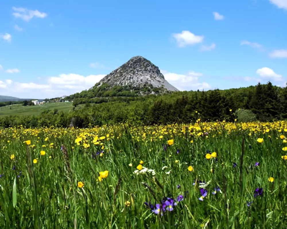 BLACHAS Domena 3 Gwiazdy★★★ 3 Gwiazdy★★★ 3 Gwiazdy★★★