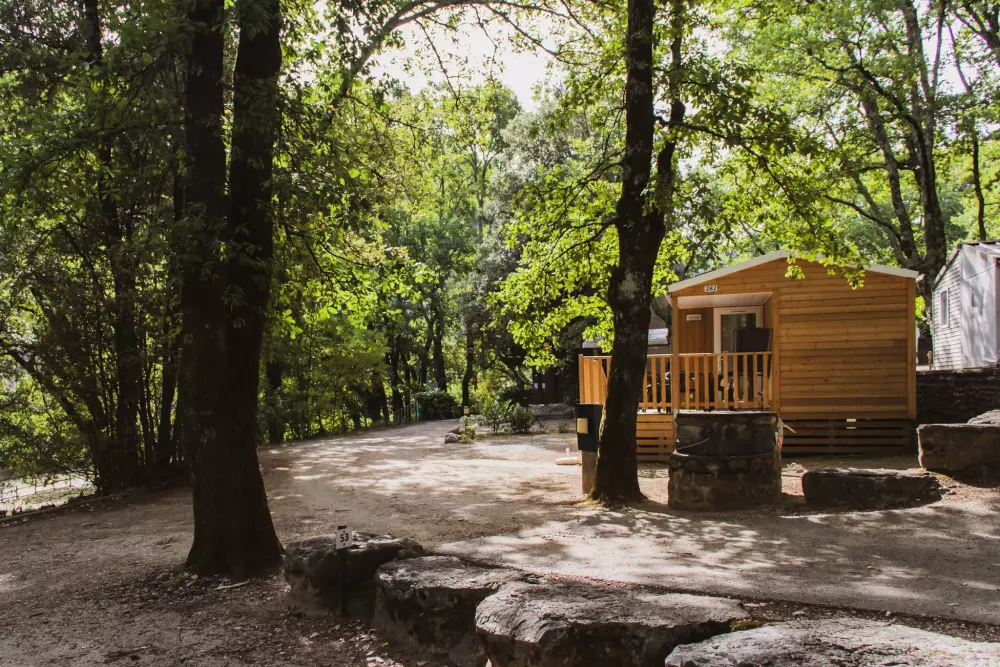 BLACHAS Domena 3 Gwiazdy★★★ 3 Gwiazdy★★★ 3 Gwiazdy★★★