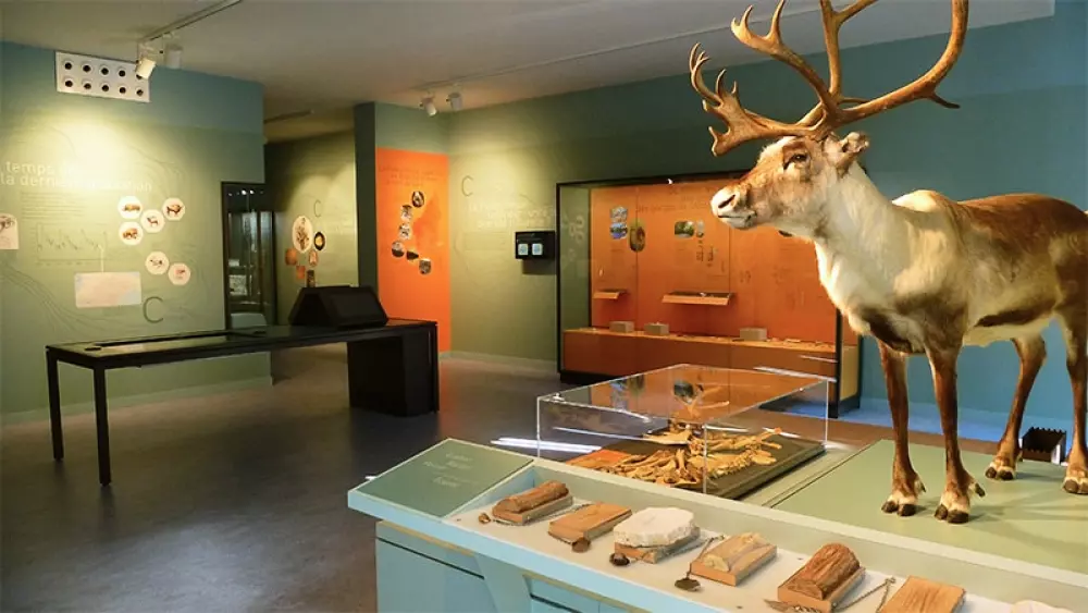 BLACHAS Domena 3 Gwiazdy★★★ 3 Gwiazdy★★★ 3 Gwiazdy★★★